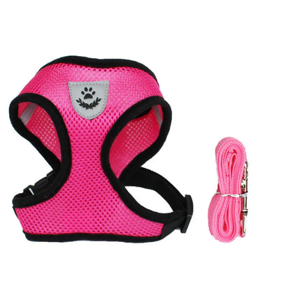 Colorful Cat Or Dog Adjustable Harness & leash