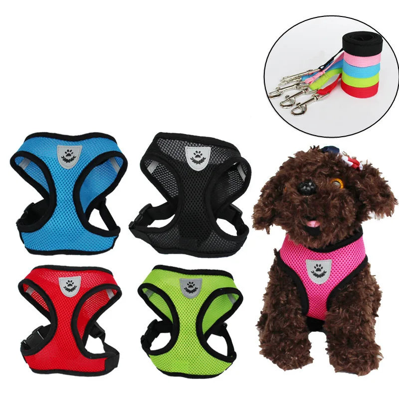 Colorful Cat Or Dog Adjustable Harness & leash