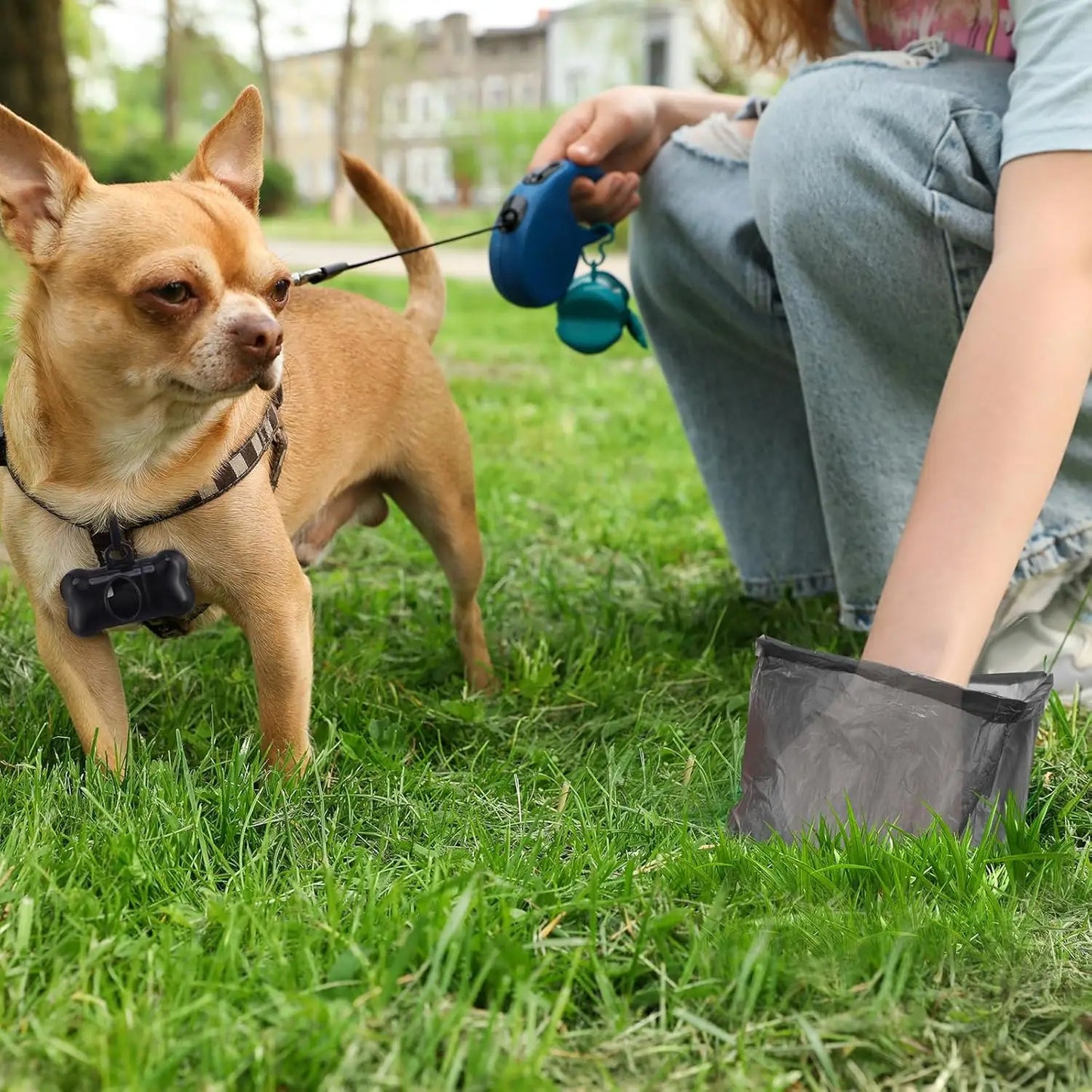 Black Doggy Bags With Dispenser