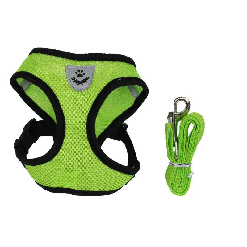Colorful Cat Or Dog Adjustable Harness & leash