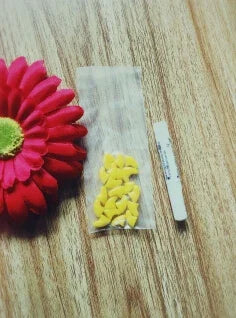 Colorful Pet Nail Caps (20 pcs)