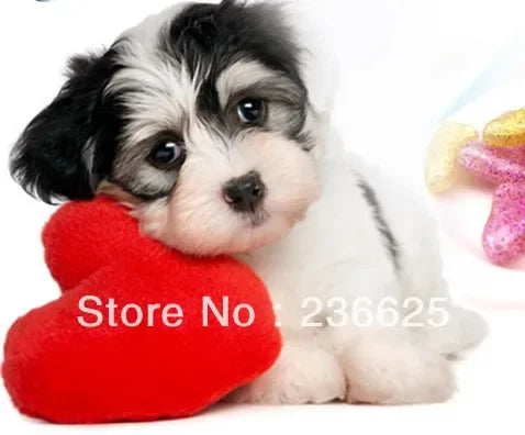 Colorful Pet Nail Caps (20 pcs)