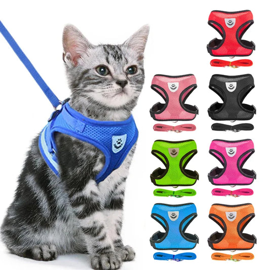 Colorful Cat Or Dog Adjustable Harness & leash