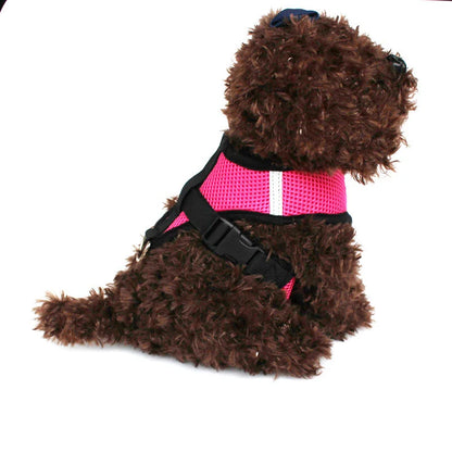 Colorful Cat Or Dog Adjustable Harness & leash