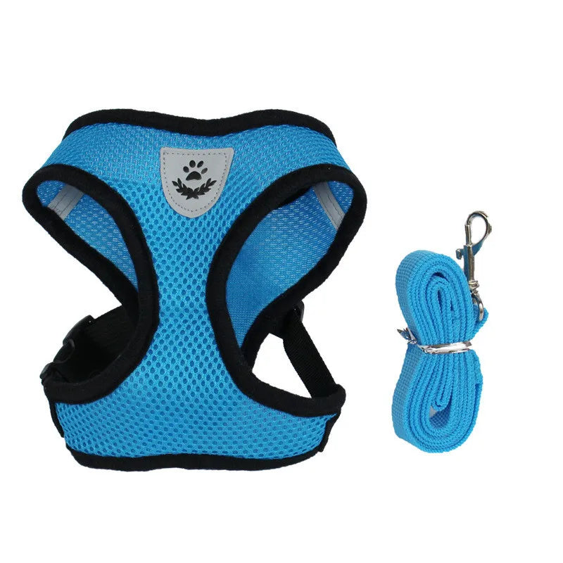 Colorful Cat Or Dog Adjustable Harness & leash